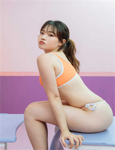 大使