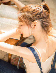泰迪熊 高清