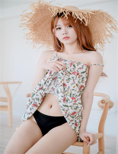 白鸟美丽物语